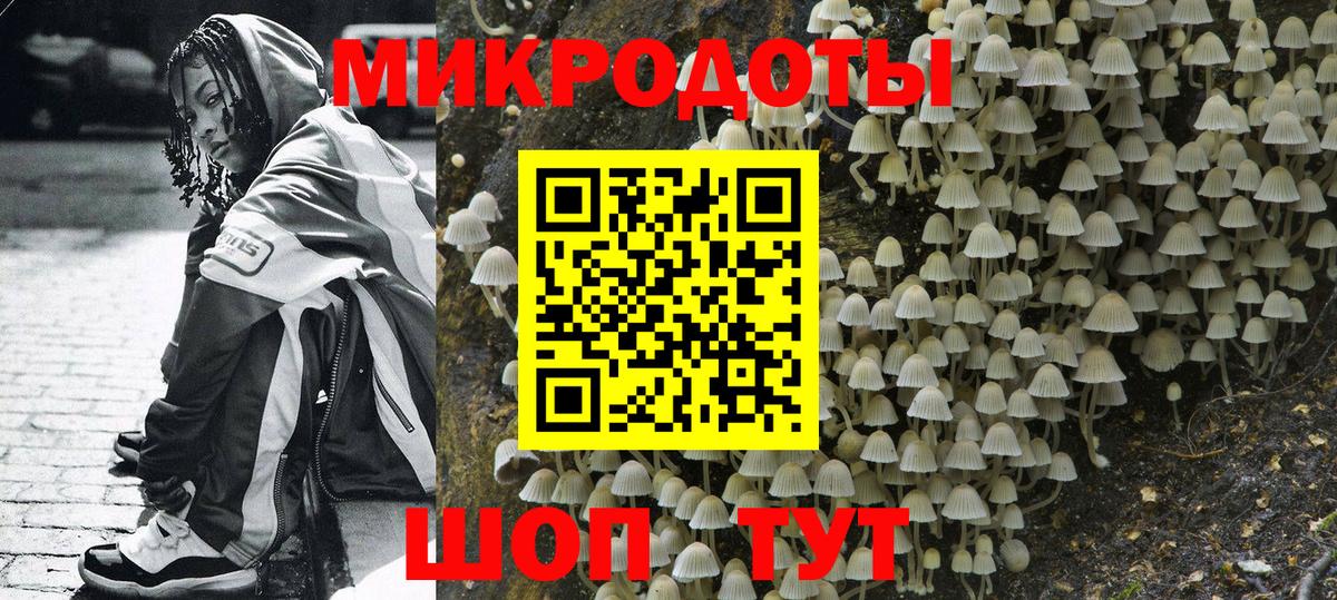 Галлюциногенные грибы ЛСД  Вход с VPN  где купить наркоту  Псилоцибиновые грибы GOLDEN TEACHER  Новодвинск 
