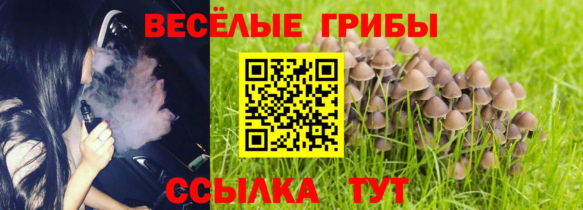 Галлюциногенные грибы Cubensis Новодвинск