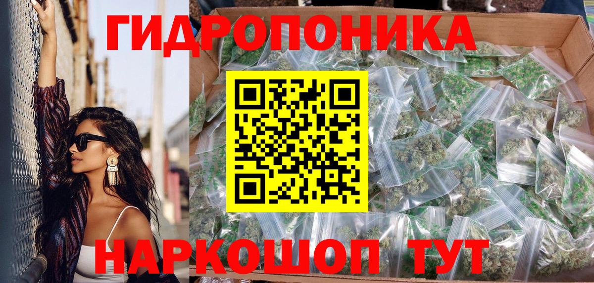 Бошки Шишки план  Вход с VPN  Бошки Шишки MAZAR  Бошки марихуана конопля  Новодвинск 